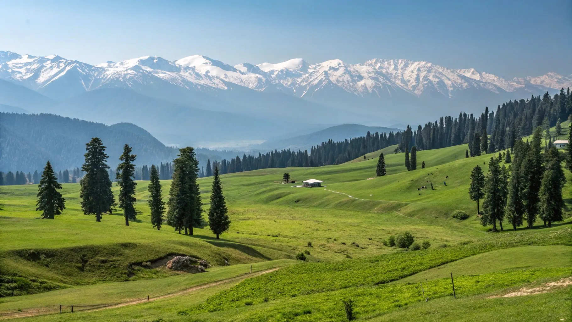 Summer Gulmarg